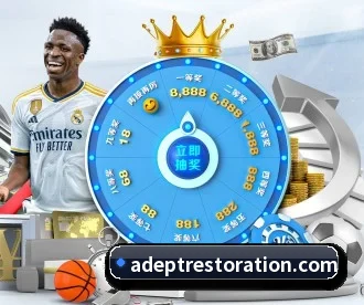 星空官网平台 APP 深度功能